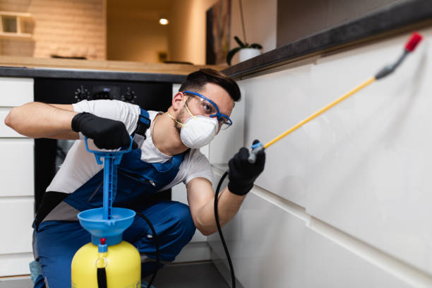 Best Wasp Removal Services  in Sleepy Hollow, WY