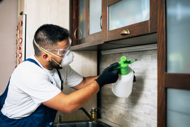 Best Ant Control Services  in Sleepy Hollow, WY