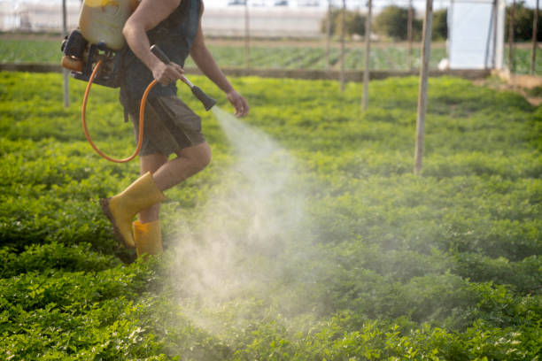 Best Pest Prevention Services  in Sleepy Hollow, WY