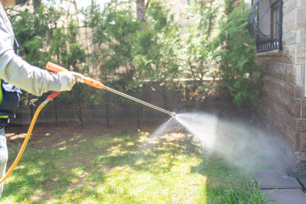 Best Residential Pest Control  in Sleepy Hollow, WY