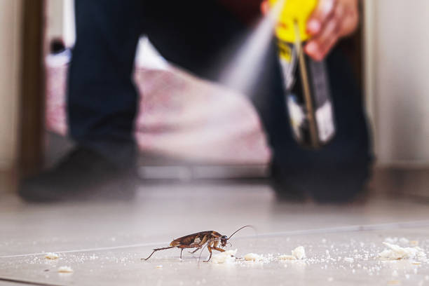 Best Pest Control Cost  in Sleepy Hollow, WY