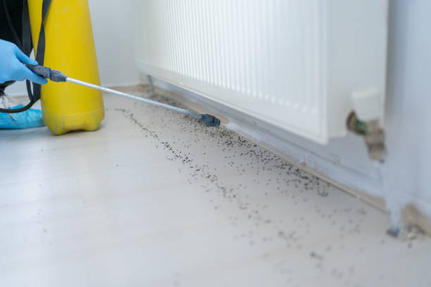 Best Mosquito Control Services  in Sleepy Hollow, WY